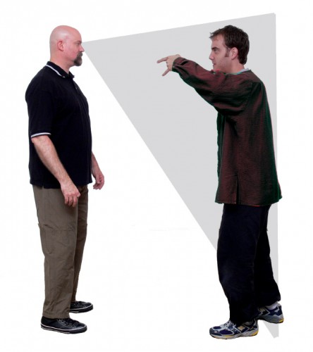 SoftViewing2